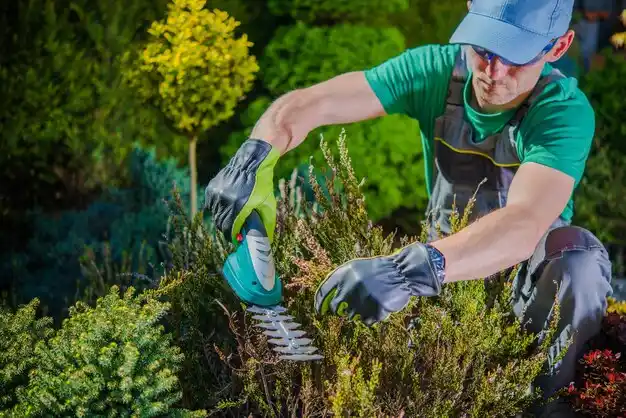 landscaping services Cedarhurst